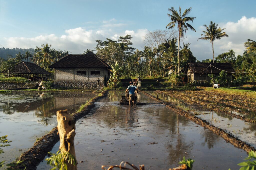 farmer in asia